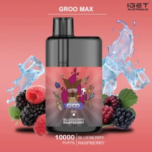 GROO MAX – BLACKBERRY RASPBERRY – 10000 PUFFS